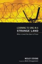 Learning to Sing in a Strange Land af Wesley Stevens