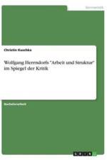 Wolfgang Herrndorfs Arbeit und Struktur im Spiegel der Kritik af Christin Kuschka