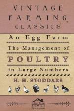 An Egg Farm - The Management of Poultry in Large Numbers af H H Stoddars