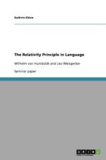 Relativity Principle in Language af Kathrin Ehlen