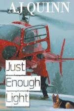 Just Enough Light af A. J. Quinn