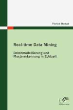 Real-time Data Mining af Florian Stompe