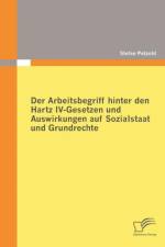 Arbeitsbegriff hinter den Hartz IV-Gesetzen und Auswirkungen auf Sozialstaat und Grundrechte af Stefan Petzold