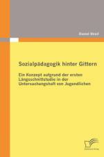 Sozialpadagogik hinter Gittern af Daniel Straif