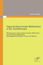 Tagesstrukturierende Massnahmen in der Suchttherapie af Sandra Schroeder