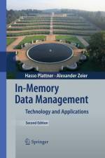 In-Memory Data Management af Hasso Plattner