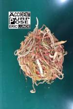 Accident of Purpose (Standard Edition) af Eric Lunde