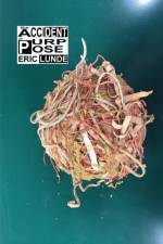 Accident of Purpose (Hardcover Edition) af Eric Lunde