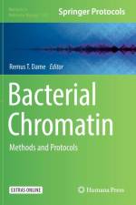 Bacterial Chromatin