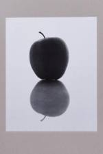 Golden Persimmons II af Brian Kanagaki