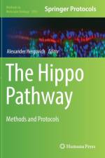 Hippo Pathway