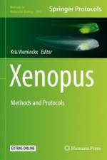 Xenopus