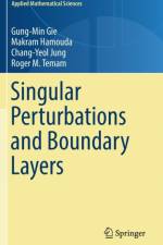 Singular Perturbations and Boundary Layers af Makram Hamouda
