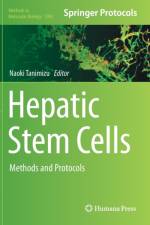 Hepatic Stem Cells