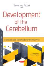 Development of the Cerebellum af Severina Fabbri