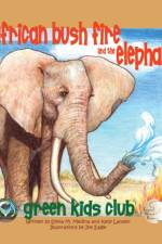 The African Bush Fire and the Elephant