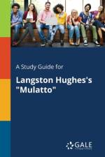 Study Guide for Langston Hughes's 