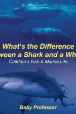 What's the Difference Between a Shark and a Whale? Children's Fish & Marine Life af Baby Professor