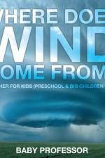 Where Does Wind Come from? Weather for Kids (Preschool & Big Children Guide) af Baby Professor