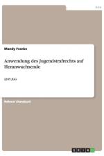 Anwendung des Jugendstrafrechts auf Heranwachsende af Mandy Franke