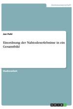 Einordnung der Nahtodeserlebnisse in ein Gesamtbild af Jan Pohl