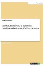 Die SEPA-Einfuhrung in der Praxis. Handlungserfordernisse fur Unternehmen af Kristina Fischer