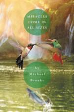 Miracles Come in All Sizes af Michael Brooks
