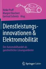 Dienstleistungsinnovationen Und Elektromobilitat