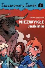 Zaczarowany Zamek 5 - Niezwykłe Jaskinie af Peter Gotthardt