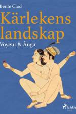 Kärlekens landskap 7: Voyeur & Ånga af Bente Clod