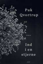 Ind i en stjerne