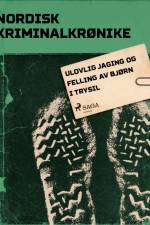 Ulovlig jaging og felling av bjørn i Trysil af - Diverse