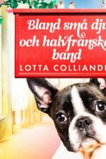 Bland små djur och halvfranska band af Lotta Colliander