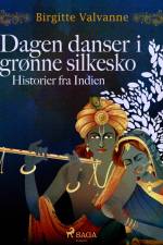 Dagen danser i grønne silkesko. Historier fra Indien af Birgitte Valvanne