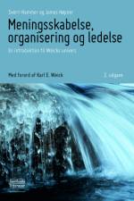 Meningsskabelse, organisering og ledelse
