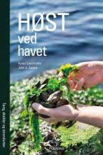 Høst ved havet af Karen Lise Krabbe
