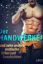 Der Handwerker und zehn andere erotische Erika Lust Geschichten af - Diverse