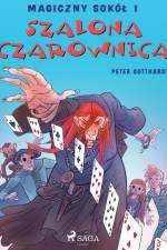 Magiczny sokół 1 - Szalona Czarownica af Peter Gotthardt
