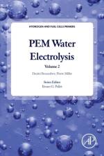 PEM Water Electrolysis af Dmitri (Director Bessarabov