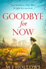 Goodbye for Now af M.J. Hollows