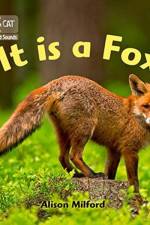 It is a Fox