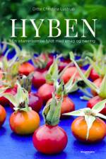 Hyben