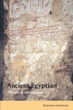 Ancient Egyptian af Antonio (University of California Loprieno
