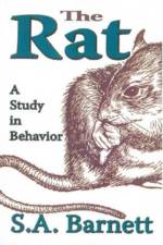 The Rat af S. A. Barnett
