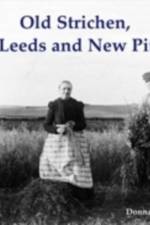 Old Strichen, New Leeds and New Pitsligo af Donna M. Donald