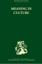 Meaning in Culture af F. Allan Hanson