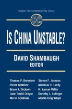 Is China Unstable? af David L. Shambaugh