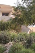 National Museum of Qatar: Museum Guide