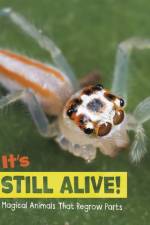 It's Still Alive!