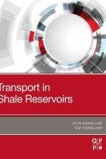 Transport in Shale Reservoirs af Kun Sang (Professor Lee